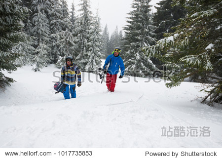 Two friends snowboarders  with snowboards in their hands  rise up the mountain slope  amidst huge snow-covered fir trees during a blizzard. Awesome freeride in a winter wilderness.
