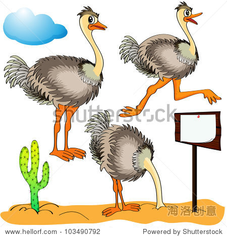 illustration ostrich runs covers head sand and cost(stand)s on