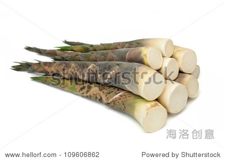 bambooshoot图片