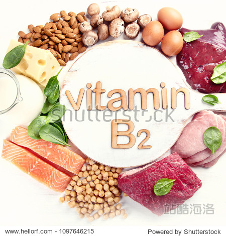 food rich in vitamin b2 (riboflavin). healthy food. top view