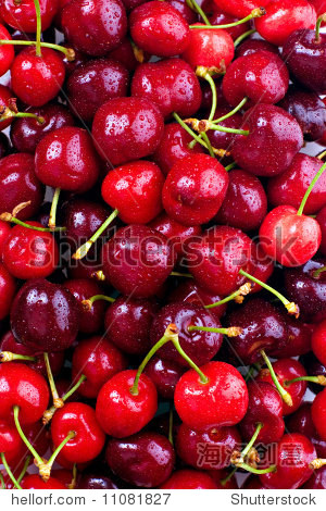 red cherries, with water droplets.