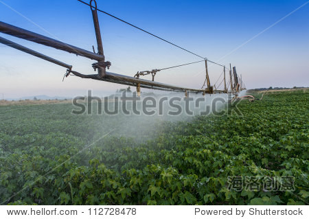 center pivoting irrigation system over a ripe cotton field.