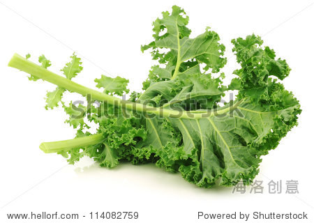 freshly harvested kale cabbage stems on a white background