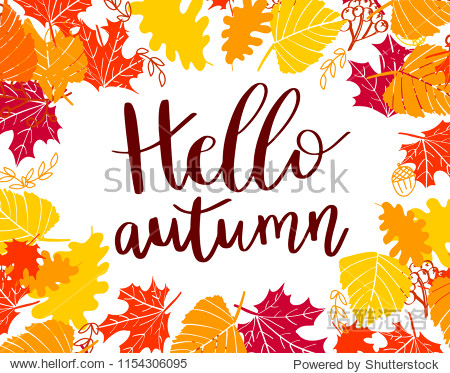 Hello Autumn calligraphy quote on background decorate with leaves and berries for shopping sale or promo poster card web banner.Vector illustration template with lettering text.
