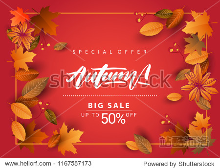 Autumn Sale Background Hand Drawn Autumn calligraphy with falling leaves Web Banner shopping sale or seasonal poster Postcard and Invitation card. Vector illustration