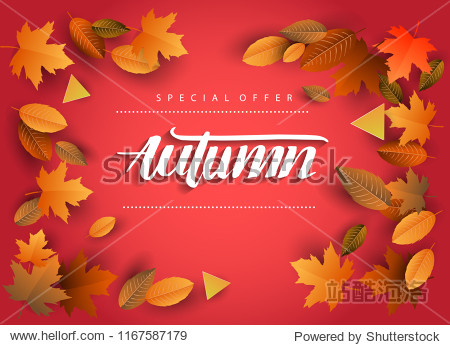 Autumn Sale Background Hand Drawn Autumn calligraphy with falling leaves Web Banner shopping sale or seasonal poster Postcard and Invitation card. Vector illustration