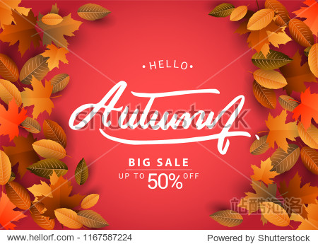 Autumn Sale Background Hand Drawn Autumn calligraphy with falling leaves Web Banner shopping sale or seasonal poster Postcard and Invitation card. Vector illustration