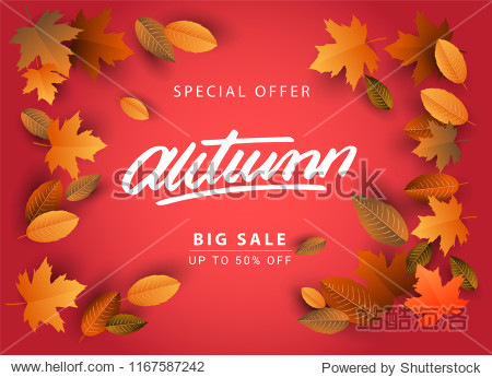 Autumn Sale Background Hand Drawn Autumn calligraphy with falling leaves Web Banner shopping sale or seasonal poster Postcard and Invitation card. Vector illustration
