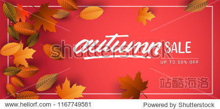 Autumn Sale Background Hand Drawn Autumn calligraphy with falling leaves Web Banner shopping sale or seasonal poster Postcard and Invitation card. Vector illustration