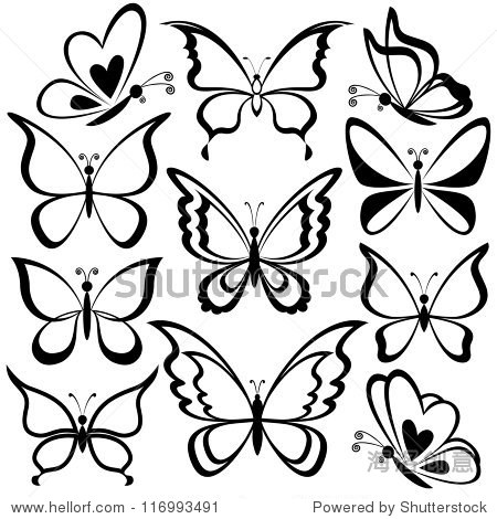 various butterflies, black contours on white background - 站酷