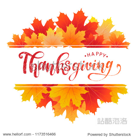 'Happy Thanksgiving' hand lettering quote on a white background surrounded by sketched maple leaves. Perfect for banners posters cards design ideas. Vector illustration eps 10