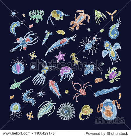 plankton vector aquatic phytoplankton and planktonic