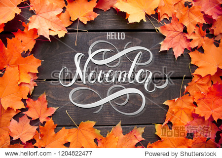 Hello November hand lettering inscription with orange and red maple leaves frame on old wooden background. Autumn decor fall mood.