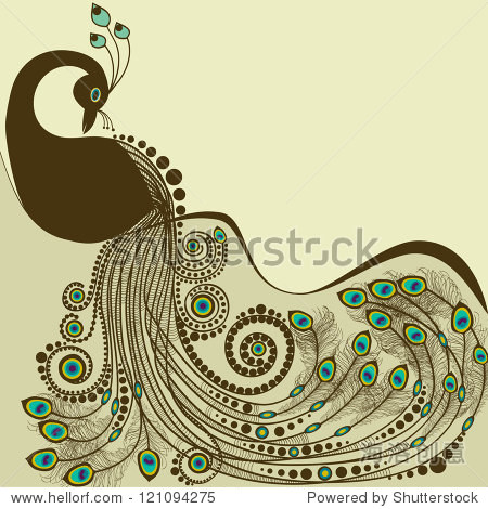 peacock - 站酷海洛正版图片, 视频, 音乐素材交易平台