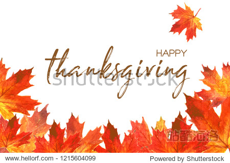 Thanksgiving lettering typography poster Hand drawn Happy Thanksgiving. Celebration quotation for card postcard gratitude icon logo or badge.vintage autumn background fall calligraphy lettering