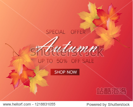 Autumn sale background layout decorate with maple leaves of autumn for shopping sale or promo poster and frame leaflet or web banner. Thanksgiving Background Vector illustration template.