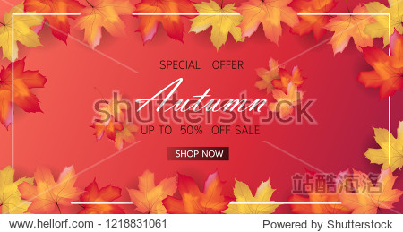 Autumn sale background layout decorate with maple leaves of autumn for shopping sale or promo poster and frame leaflet or web banner. Thanksgiving Background Vector illustration template.