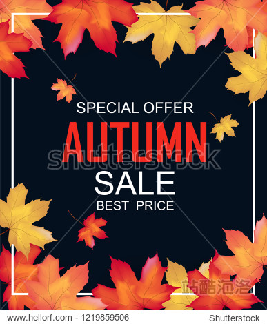Autumn sale background layout decorate with maple leaves of autumn for shopping sale or promo poster and frame leaflet or web banner. Thanksgiving Background Vector illustration template.