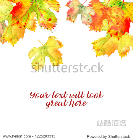 Background with autumn golden orange grape vine leaves isolated on white falling from above. Watercolor illustration
