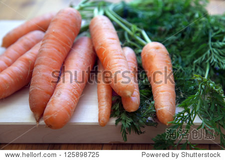 bunch of young carrots - 图片素材 - 站酷海洛plus正版图片, 视频