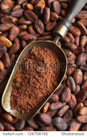 cocoa beans and retro scoop with cocoa powder