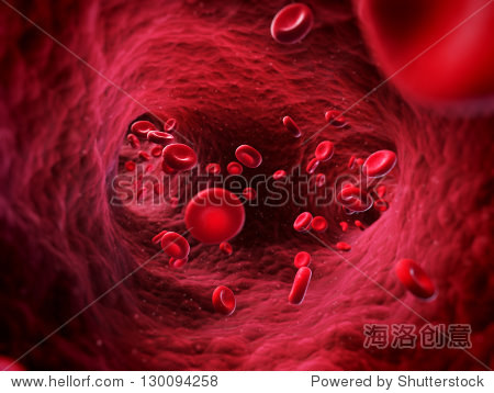 3d rendered illustration of human blood cells
