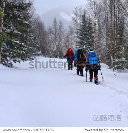 A group of tourists in the winter forest on the mountainside. Carpathians.