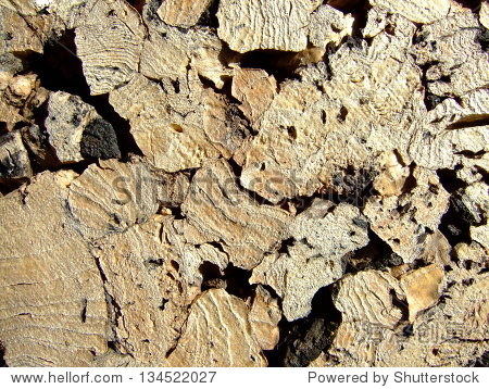 cork texture - 图片素材 - 站酷海洛plus正版图片, 视频, 音乐素材