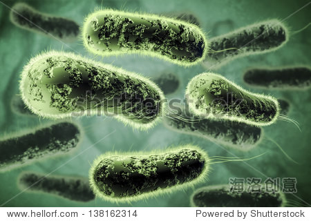bacteria-站酷海洛正版图片, 视频, 音乐素材交易平台 - shutterstock