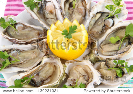 oysters close-up - 图片素材 - 站酷海洛plus正版图片, 视频, 音乐