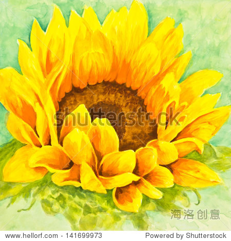 a bright yellow and orange sunflower boasts a center of luscious