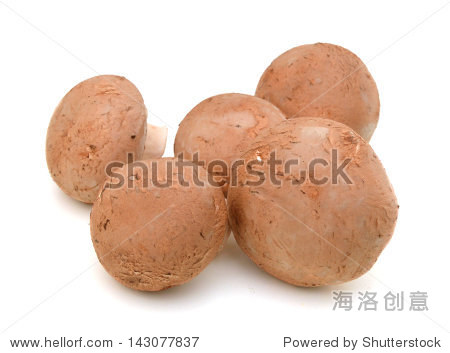 fresh mushroom champignon isolated on white background