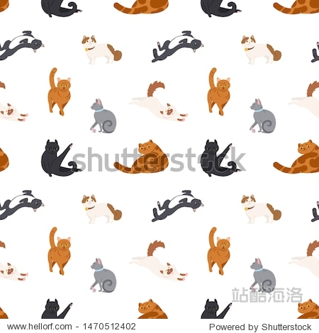 Colorful seamless pattern with cats of different breeds sleeping  walking  washing  stretching itself on white background. illustration in flat cartoon style for wrapping paper  fabric print