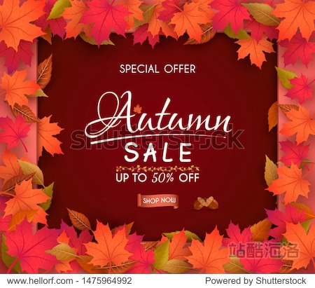 special offer autumn. and sales banner Design. with colorful seasonal fall leaves. and for shopping discount promotion. and frame leaflet or web banner. and used as illustration or background.