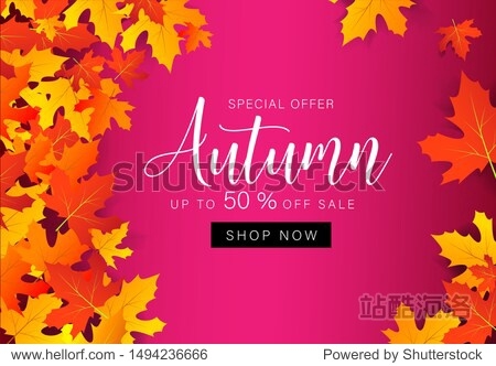 Autumn sale with leaves. Geometrical template background for cover poster card label banner holiday design. Discount offer 50%. Abstract business fall leaves. Vector illustration