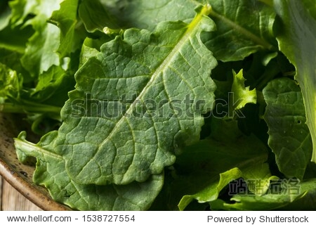 raw green organic baby kale superfood with antioxidents