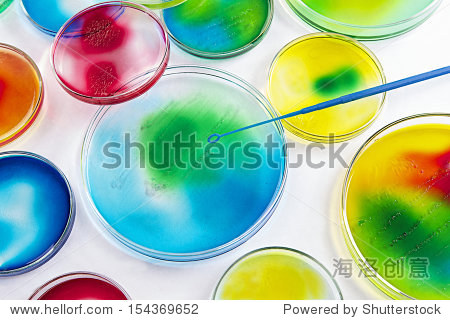 microbiology - seeding petri dishes