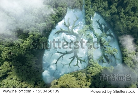 Green lungs of planet Earth. 3d rendering of a clean lake in a shape of lungs in the middle of virgin forest. Concept of nature and rainforest protection nature breathing and natural co2 reduction.
