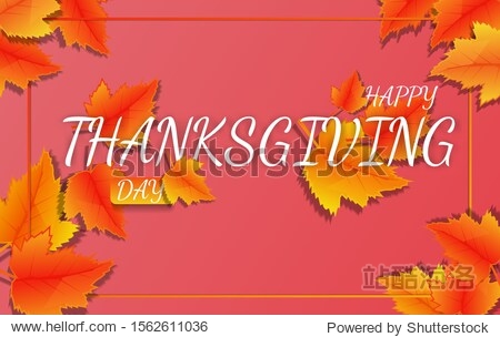 Thanksgiving holiday banner with congratulation text. Autumn tree leaves on yellow background. Autumnal design for fall season poster thanksgiving greeting card vector illustration