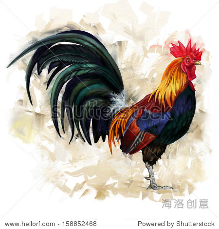 rooster digital painting / rooster cock - 站酷海洛正版图片, 视频