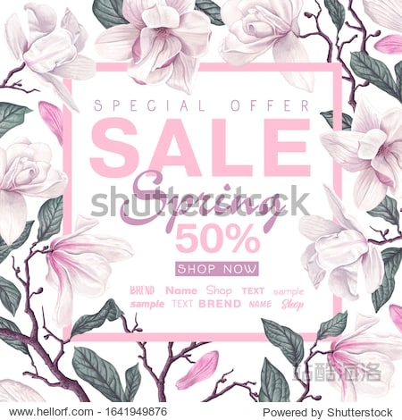 Spring sale banner with light pink magnolia. Vector illustration template. Background with spring flowers petals and leaves in realistic style. Spring discount poster advertising greeting card.