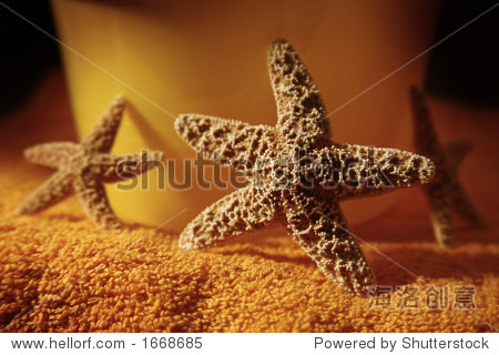 Dimly lit starfish against a beach pail