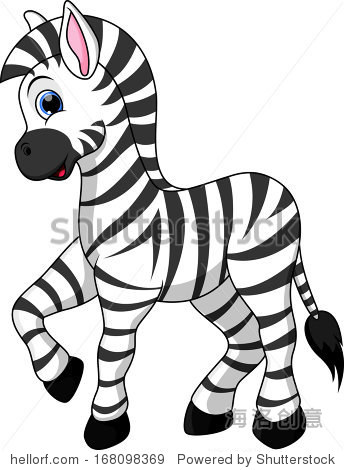 一个可爱的小斑马