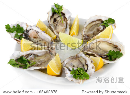 oysters isolated on white