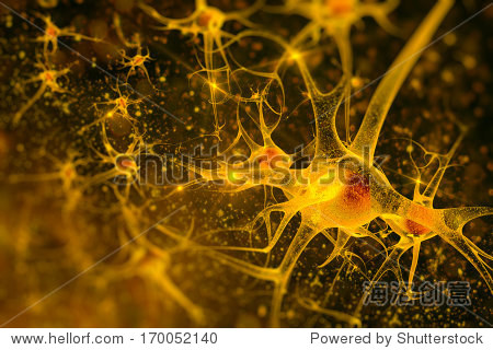 digital illustration neurons