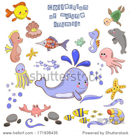 collection of marine animals and fish.