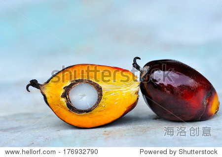 palm oil, a well-balanced healthy edible oil is now an important