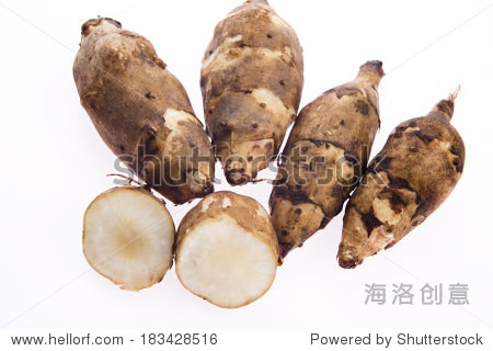 jerusalem artichoke, [helianthus tuberosus] - 站酷海洛正版图片