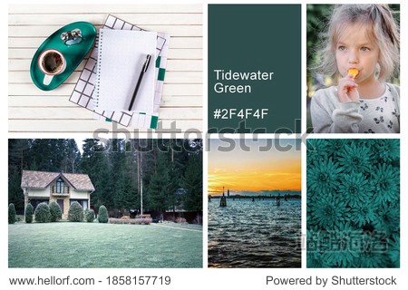 Collage set made of photos toning in Tidewater Green color. Trendy creative design in color of 2021