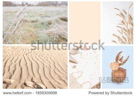 Collage set made of photos toning in Sail Champagne color. Trendy creative design in color of 2021